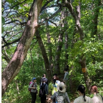 浅虫温泉森林浴ウォーク1名様【体験時間:約2時間】