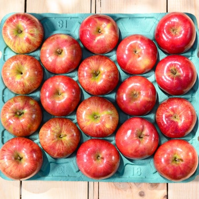 平均糖度12度以上! サンつがる 約5kg 訳あり クール便【配送不可地域：離島・沖縄県】