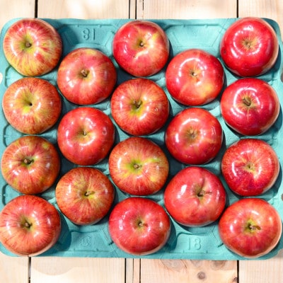 平均糖度12度以上! サンつがる 約10kg 訳あり クール便【配送不可地域：離島・沖縄県】