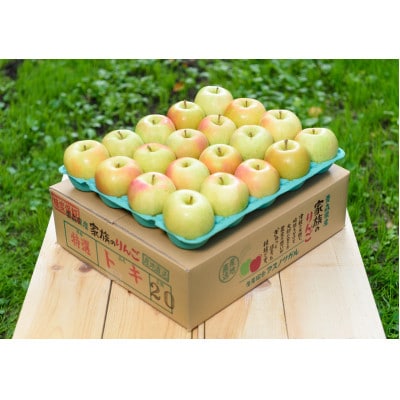 【2025年10月発送予定】平均糖度12度以上! トキ 約5kg おもてなし用【配送不可地域：離島・沖縄県】