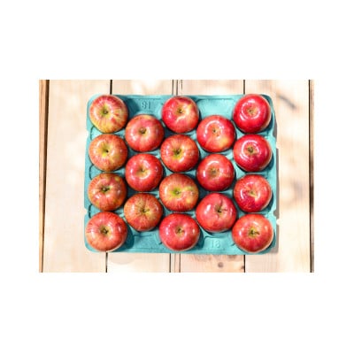 平均糖度12度以上! サンつがる 約5kg おもてなし用 クール便【配送不可地域：離島・沖縄県】