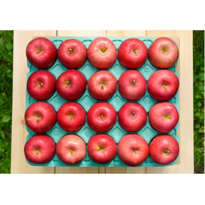 【2025年10月発送予定】平均糖度12度以上! 早生ふじ 約5kg おもてなし用【配送不可地域：離島・沖縄県】