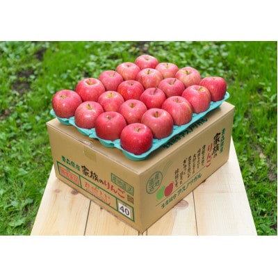 【2025年10月発送予定】平均糖度12度以上! 早生ふじ 約10kg 訳あり【配送不可地域：離島・沖縄県】