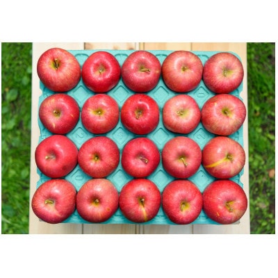 【2026年11月発送予定】平均糖度13度以上! 早生ふじ 約5kg 訳あり【配送不可地域：離島・沖縄県】