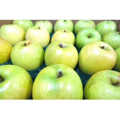 【26年5月より順次発送】平均糖度13度以上! 王林 約5kg おもてなし用 CA貯蔵 クール便【配送不可地域：離島・沖縄県】