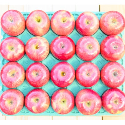 平均糖度13度以上! サンふじ 約5kg おもてなし用 CA貯蔵 クール便【配送不可地域：離島・沖縄県】