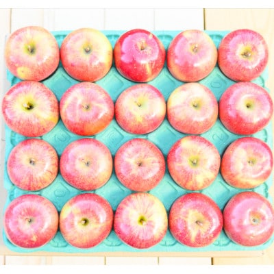 平均糖度13度以上! サンふじ 約10kg 訳あり CA貯蔵 クール便【配送不可地域：離島・沖縄県】