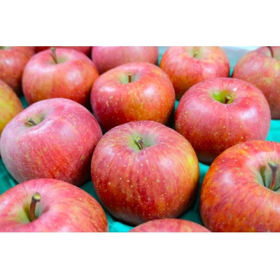 平均糖度13度以上! サンふじ 約5kg 訳あり CA貯蔵 クール便【配送不可地域：離島・沖縄県】