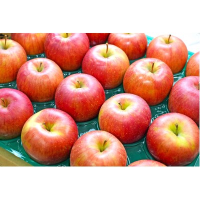 【26年1月出荷予定】平均糖度13度以上! シナノスイート 約10kg おもてなし用【配送不可地域：離島・沖縄県】