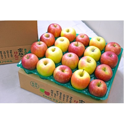 【25年11月出荷予定】糖度13度以上保証! ぐんま名月×シナノスイート 約5kg 訳あり【配送不可地域：離島・沖縄県】