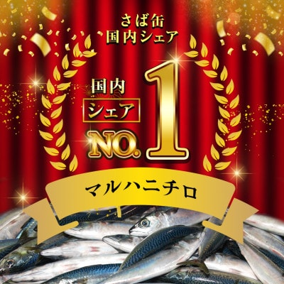 マルハニチロ さば水煮(国産)缶詰 190g×24缶 ふるさと納税