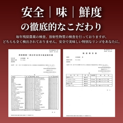 【青森直送 季節の味覚をお届け!】サンとき 3個入×2箱(贈答用)青森産 産地直送 限定生産【配送不可地域：離島】
