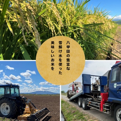 【先行予約受付】令和8年　青森県産まっしぐら　玄米10kg　彩北米【配送不可地域：離島・沖縄県】