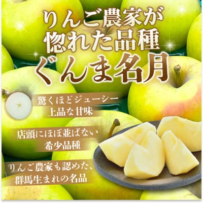 【26年4月～26年5月出荷予定】平均糖度13度以上!ぐんま名月 約3kg 訳あり りんご 青森県産【配送不可地域：離島】