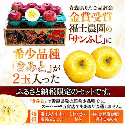 【希少品種が必ず2玉入る!】サンふじ+きみと 糖度14以上保証 計3kg 訳有 家庭用 品評会最高賞【配送不可地域：離島】