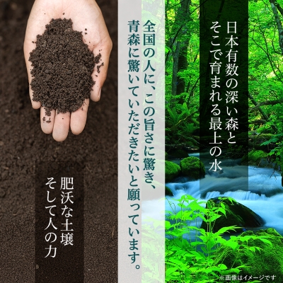 【期間限定】青天の霹靂 精米5.5kg