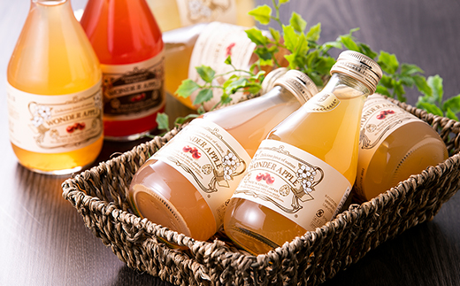 カルネ りんごジュース 12本セット