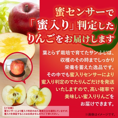 りんご 葉取らずふじ 蜜入判定 3kg (約9～12個)【配送不可地域：離島】