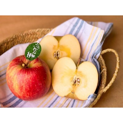 当園人気第1位!!【青森市産 完熟葉とらずふじ】　約5kg　16～23玉 (家庭用)【配送不可地域：離島・沖縄県】