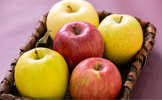 贈答用【2025年11月～2026年3月発送】農家おススメ!旬のりんご約3kg(9玉～11玉入り)【配送不可地域：離島】