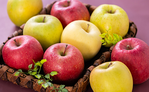 家庭用【2025年11月～2026年3月発送】農家おススメ!旬のりんご約5kg(14玉～20玉入り)【配送不可地域：離島】