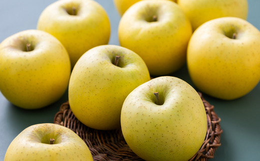 青森市産りんご「シナノゴールド」約5kg(家庭用)【配送不可地域：離島・沖縄県】