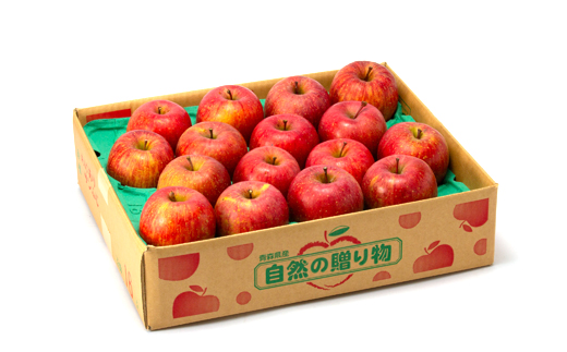 【令和7年1月下旬頃発送】産地直送 青森県産 訳ありサンふじ 5キロ箱 10～23玉 青森県産りんご【配送不可地域：離島・沖縄県】