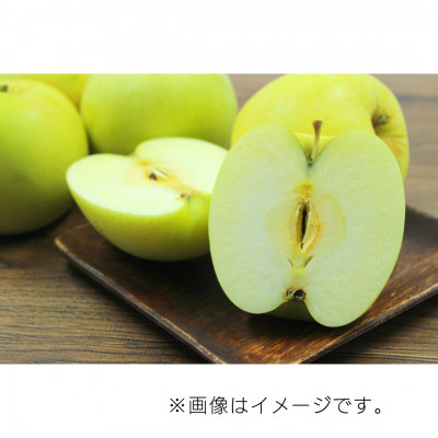 【10月下旬より発送開始】産地直送 青森県産もりのかがやき 5キロ箱 10～23玉 青森県産りんご【配送不可地域：離島】