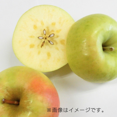 【10月下旬より発送開始】産地直送 青森県産ぐんま名月 10キロ箱 28～46玉 青森県産りんご【配送不可地域：離島】