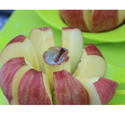 【令和7年産先行受付】お楽しみ♪青森県産りんご「サンふじ」他 食べ比べセット【離島・沖縄配送不可】【配送不可地域：離島・沖縄県】