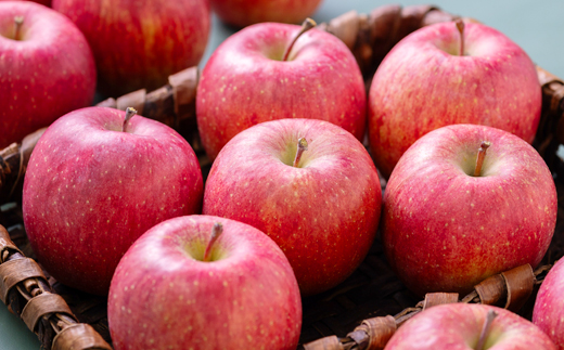 【贈答用にもどうぞ】 青森市産りんご「葉取らずサンふじ」約5kg【配送不可地域：離島・沖縄県】