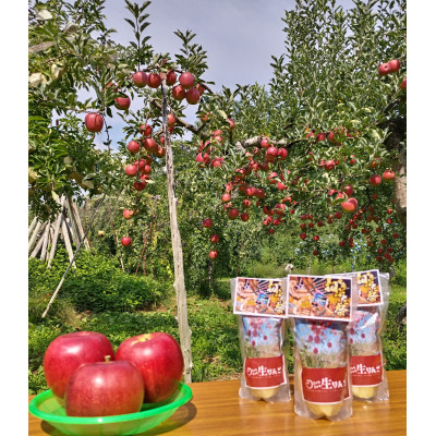 シャキシャキ生りんご【配送不可地域：離島・沖縄県】