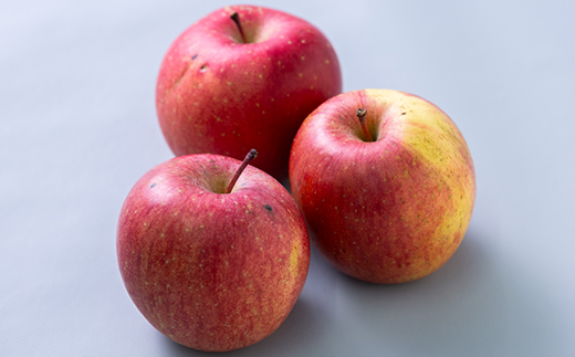 【訳あり】りんご 「葉取らずふじ」 (家庭用)約3kg(9～12個入り)【配送不可地域：離島】