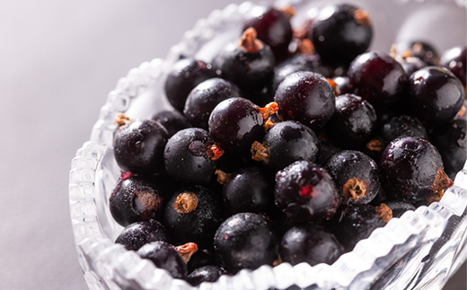 青森市産冷凍カシス300g【配送不可地域：離島】