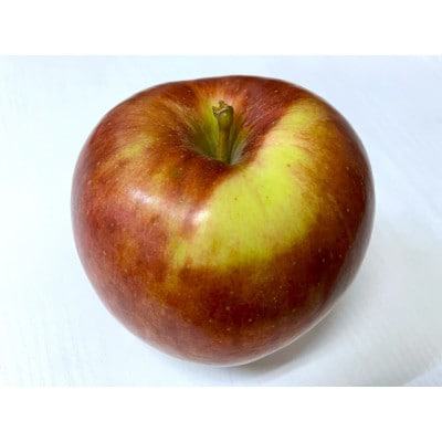 【2025年10月発送予定】平均糖度12度以上! 葉とらずサンつがる 約5kg おもてなし用【配送不可地域：離島・沖縄県】