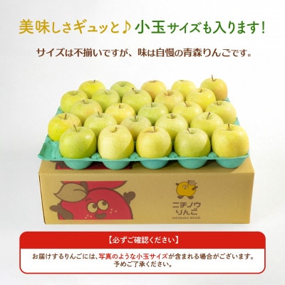 【26年5月より順次発送】平均糖度13度以上! 王林 約10kg 訳あり CA貯蔵 クール便【配送不可地域：離島・沖縄県】