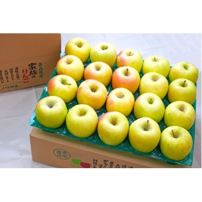 【26年11月より順次発送】平均糖度13度以上! ぐんま名月 約5kg 訳あり【配送不可地域：離島・沖縄県】