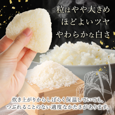 【令和7年産】青森県産　青天の霹靂5kg(精米)