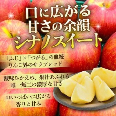 【26年3月より順次発送】平均糖度13度以上! シナノスイート 約10kg 訳あり【配送不可地域：離島・沖縄県】