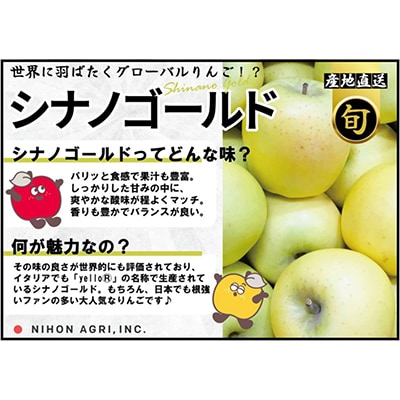 【26年1月出荷予定】平均糖度13度以上! シナノゴールド 約5kg 訳あり【配送不可地域：離島・沖縄県】