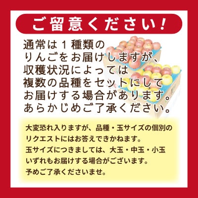 【26年3月出荷予定】りんご 品種おまかせ 約3kg 訳あり【配送不可地域：離島・沖縄県】