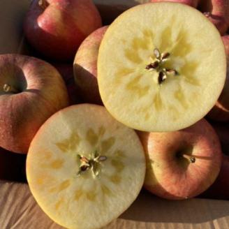 【訳あり】青森県産りんご「サンふじ家庭用」約3kg　産地直送!【配送不可地域：離島】