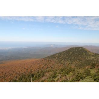 【青森市】温泉付きの古民家泊!癒しのワーケーション体験プラン(3泊4日)