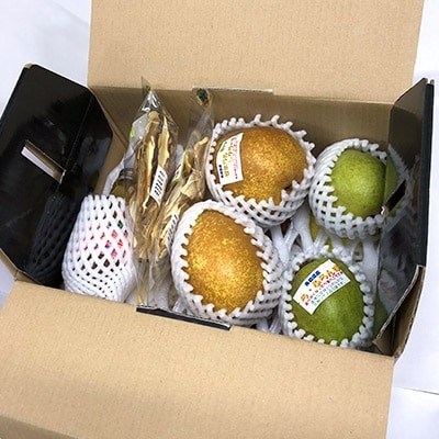 【2025年11月～2026年3月発送】季節のフルーツセット(約5kg)【配送不可地域：離島】