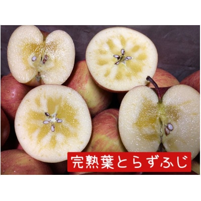 【2025年産】りんご 完熟葉とらずふじ・王林詰め合わせ 5kg (16～24玉)【配送不可地域：離島・沖縄県】