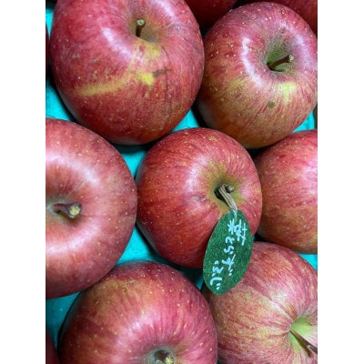 【2025年産】りんご 完熟葉とらずふじ 5kg (家庭用)【配送不可地域：離島・沖縄県】