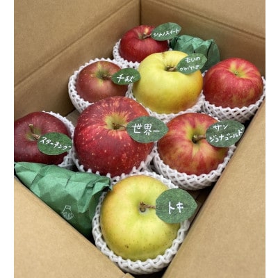 先行受付【青森市産・5品種詰め合わせ】約3kg(家庭用)【配送不可地域：離島・沖縄県】