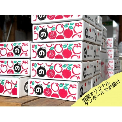 先行受付【青森市産・サンジョナゴールド】約3kg(家庭用)