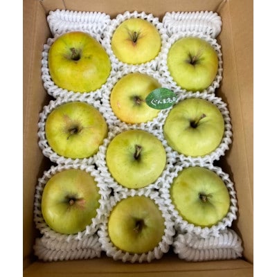 先行受付【青森市産・ぐんま名月】約3kg(家庭用)