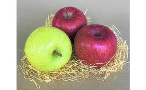 JA青森　青森県産りんご「サンふじ＆王林詰合せ」約5kg【配送不可地域：離島】